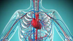 Case Study (Cardiovascular): Cardiovascular Diseases Treatment and Their Genetic Associations